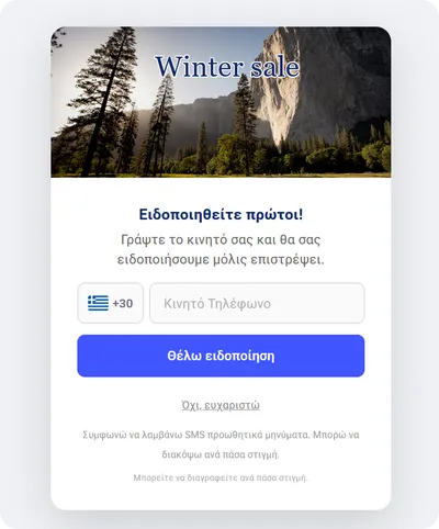Back in Stock popup template
