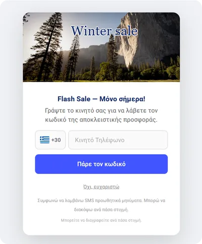 Flash Sale popup template